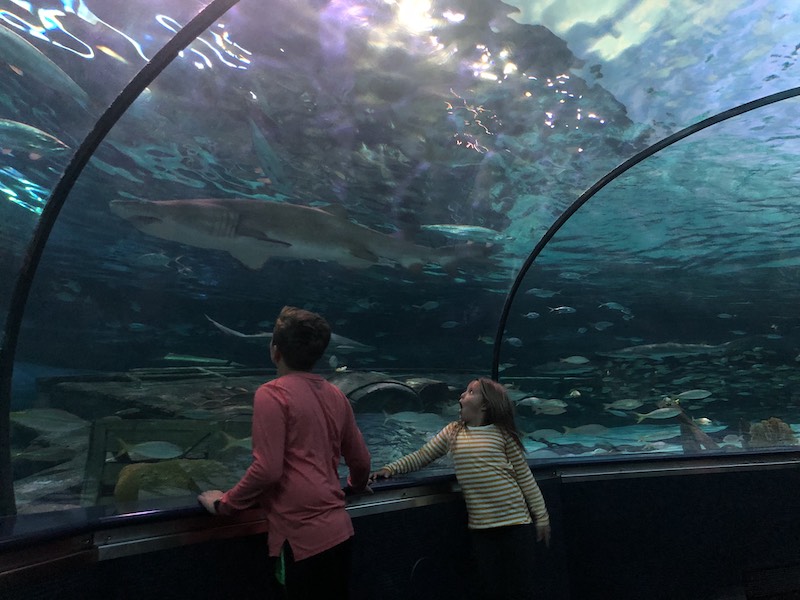 Myrtle Beach aquarium